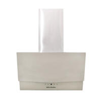 Вытяжка DE LUXE ACC-T60-S-I-32