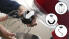 Кухонная машина BOSCH MUM9A66R00